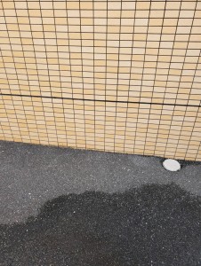 岡山市北区でベットのお引取りの画像