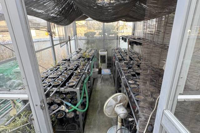 【作業事例のご紹介】グリーンハウスのお片付けの画像