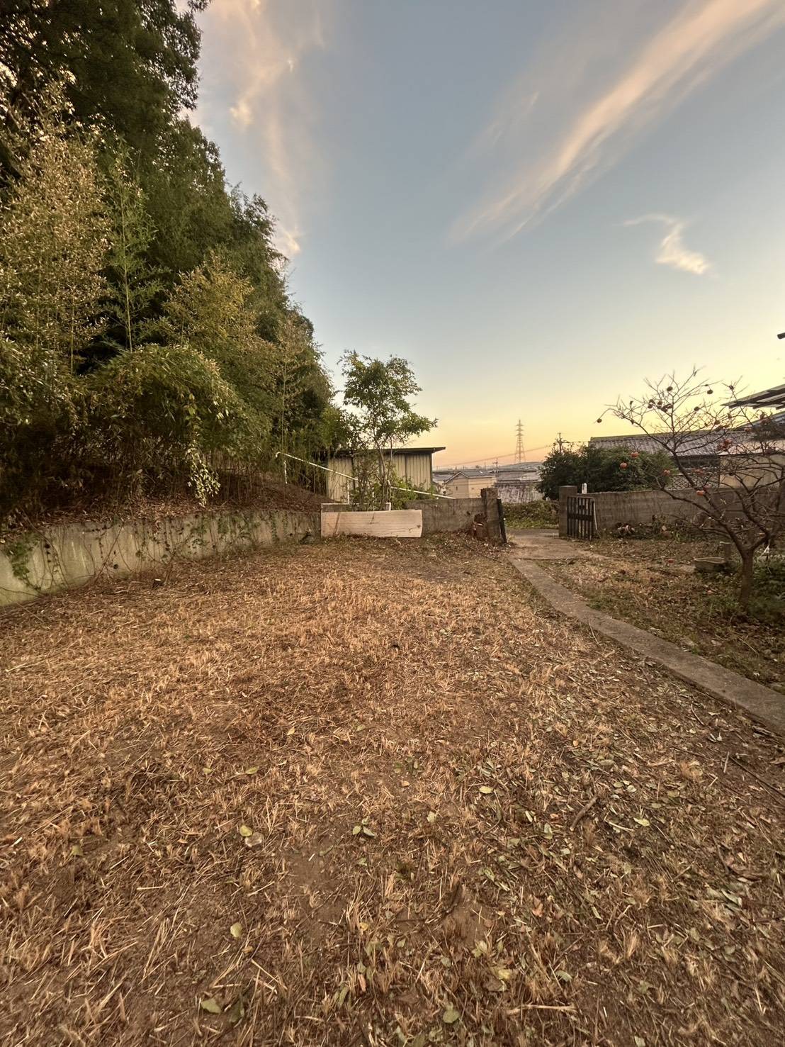 J様のご自宅の草木の伐採を実施しました！の画像