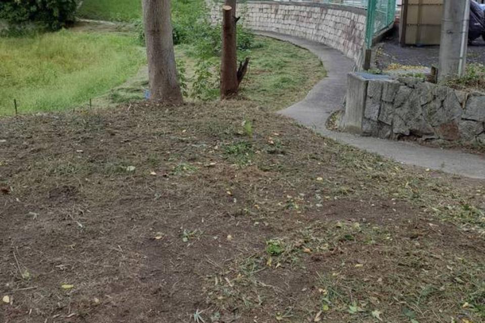 草刈・伐採のイメージ画像