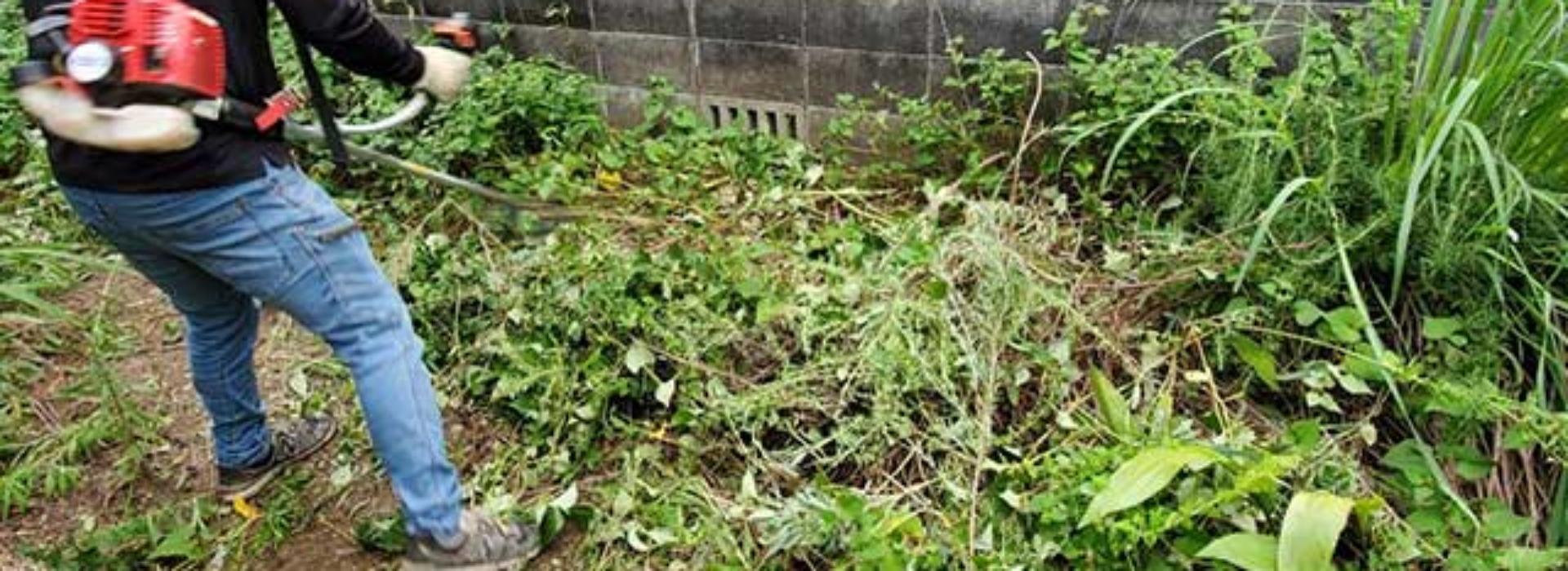 サブバナ―背景画像